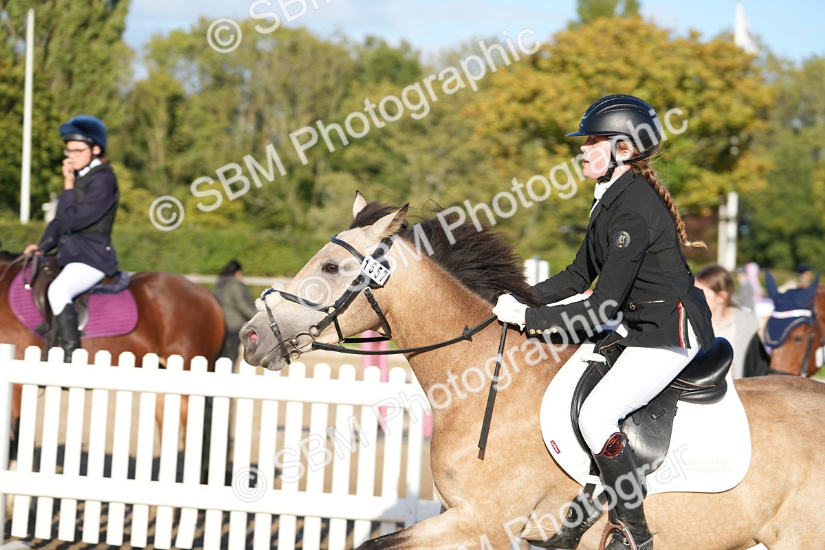 SBM_53783 - J8 - Junior Pony 65cm Championship