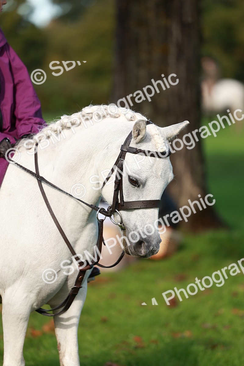 SBM_37050 - S11 - Best Ridden Horse & Pony