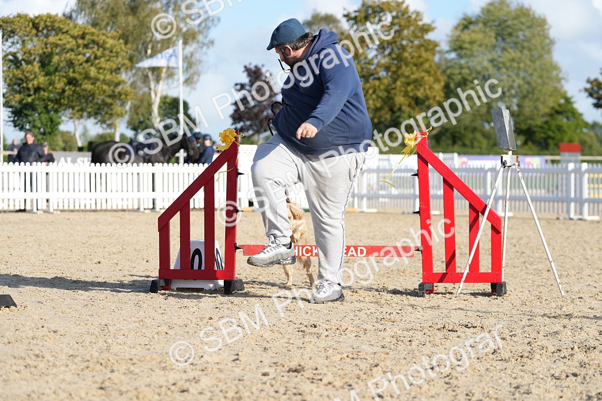 SBM_28979 - J43 - Horse & Hound Open 50cm
