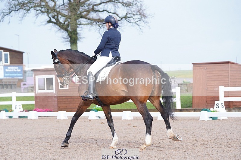 250215-144646-04354 - 194-Fay.Lai-Greenlanes.Lullaby