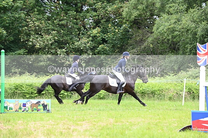 WJ6_5741 - Class 5 pairs 70cm
