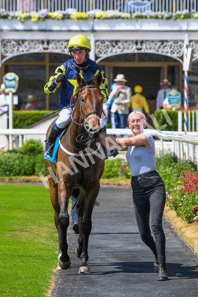 160623-Race 2-Celestial Flight-0326 - Race 2 2.25pm SKF Rous Selling Stakes