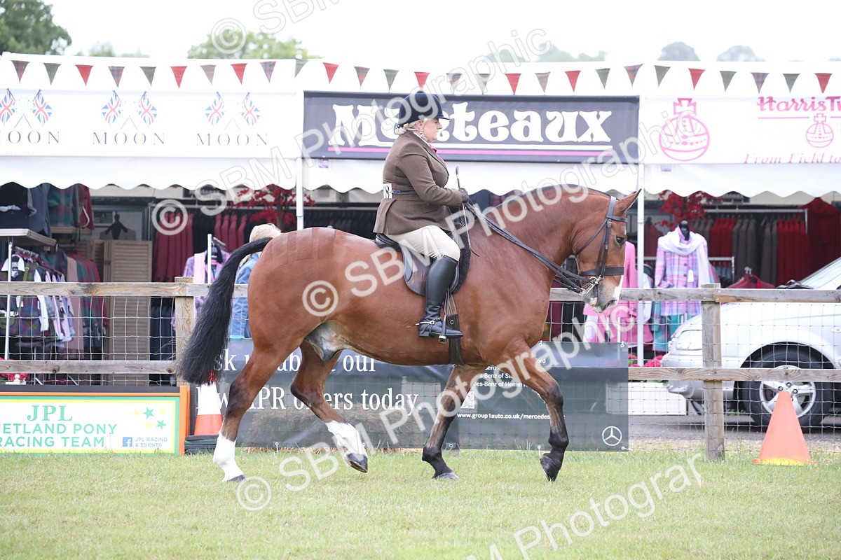 SBM_11048 - Class 92-93 - LIHS BSHA Rising Star Cobs