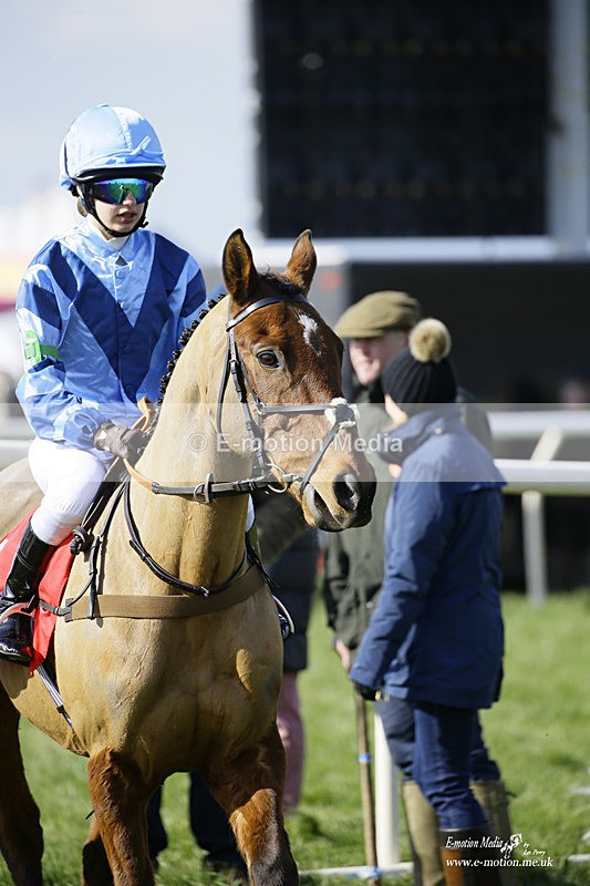 PtP 060322 59 - Blackmore & Sparkford Vale Hunt PtP 06/03/22