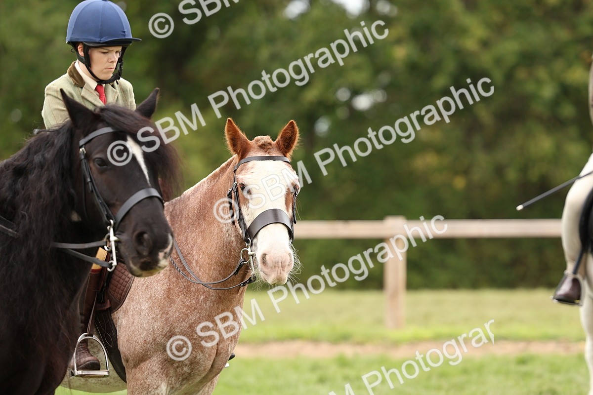 SBM_64648 - S58 - Coloured Pony Ridden