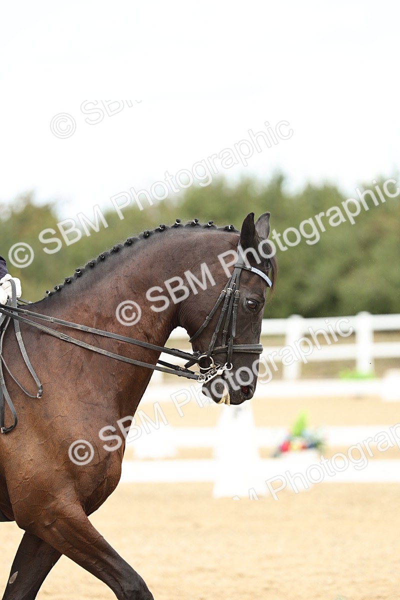 SBM_007733 - Class 26 - FEI PSG Silver