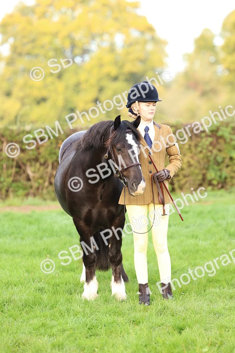 SBM_54898 - S39 - Starters In Hand Showing