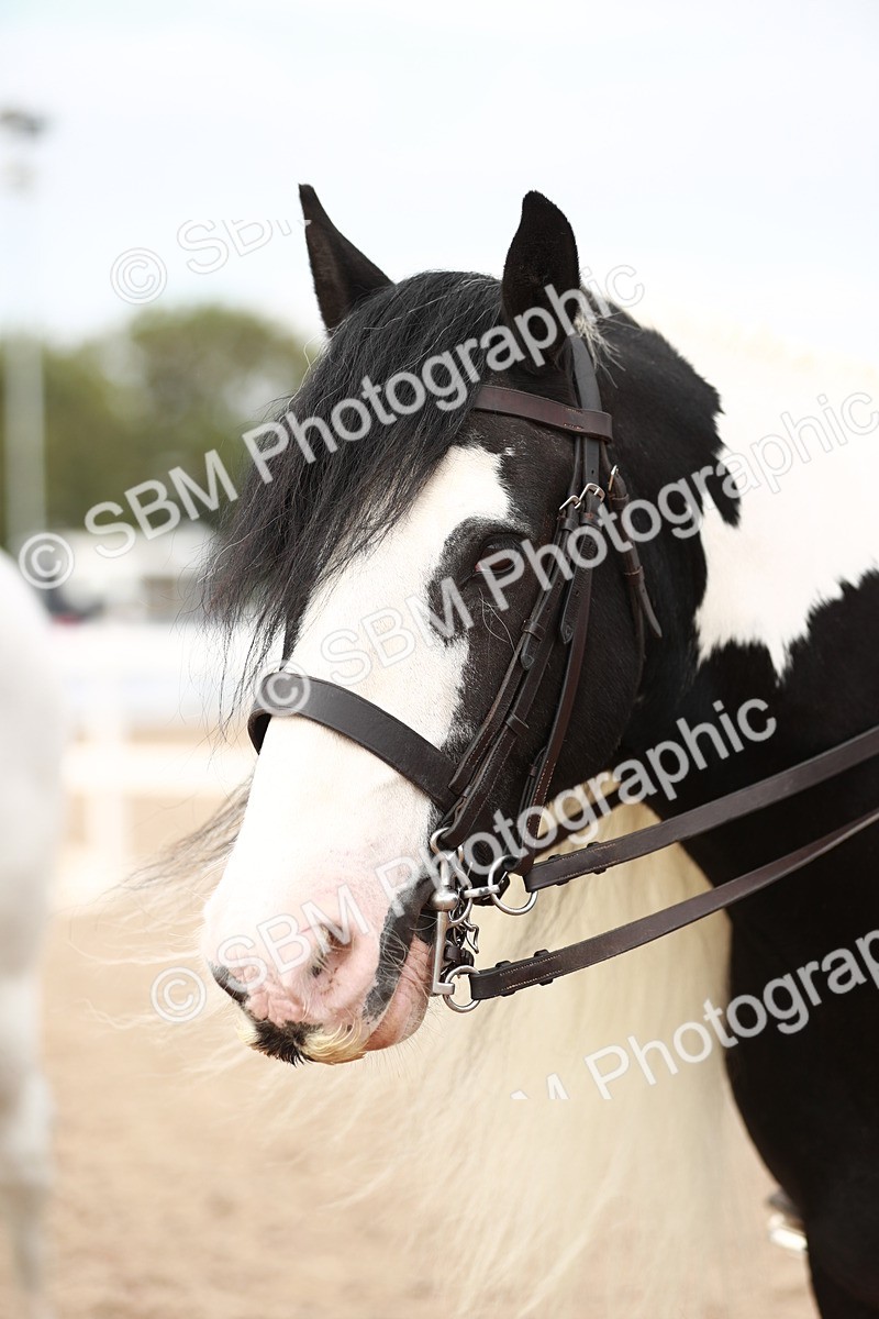 SBM_16729 - Class 214 Ridden Cob