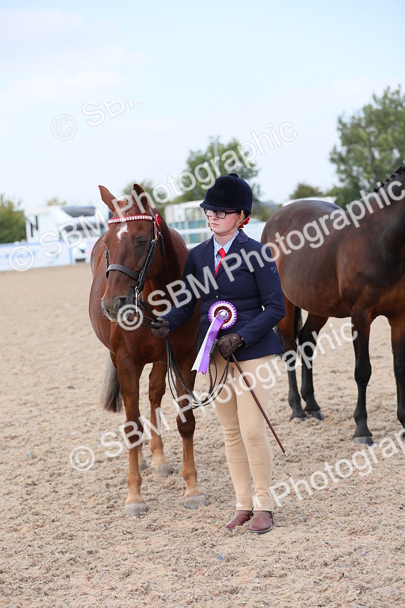 SBM_15881 - Class 312 IH Competition Horse/Pony