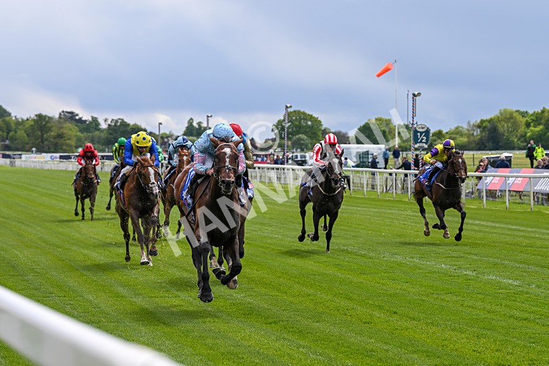 130526-Race 2-Klassleader-2444 - Race 2 2.20pm Sky Bet Race To The Ebor Jorvik Handicap