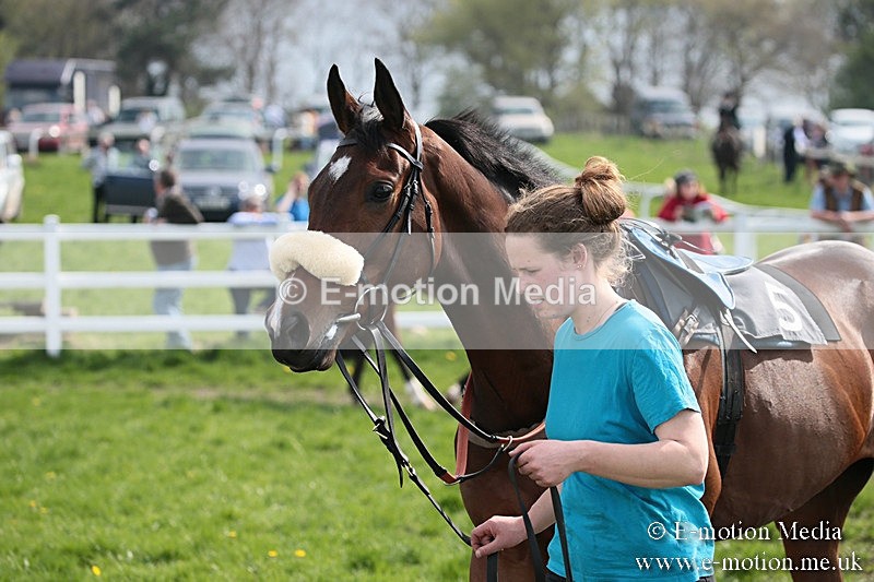 PtP 210418 294 - South & West Wilts Point-to-Point Larkhill 21/04/18
