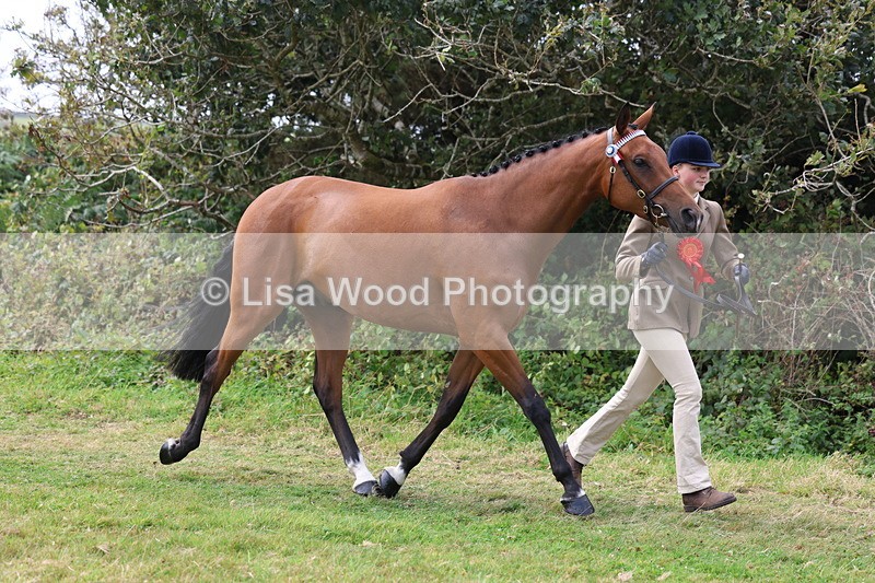 3E7A5659 - In Hand Championship