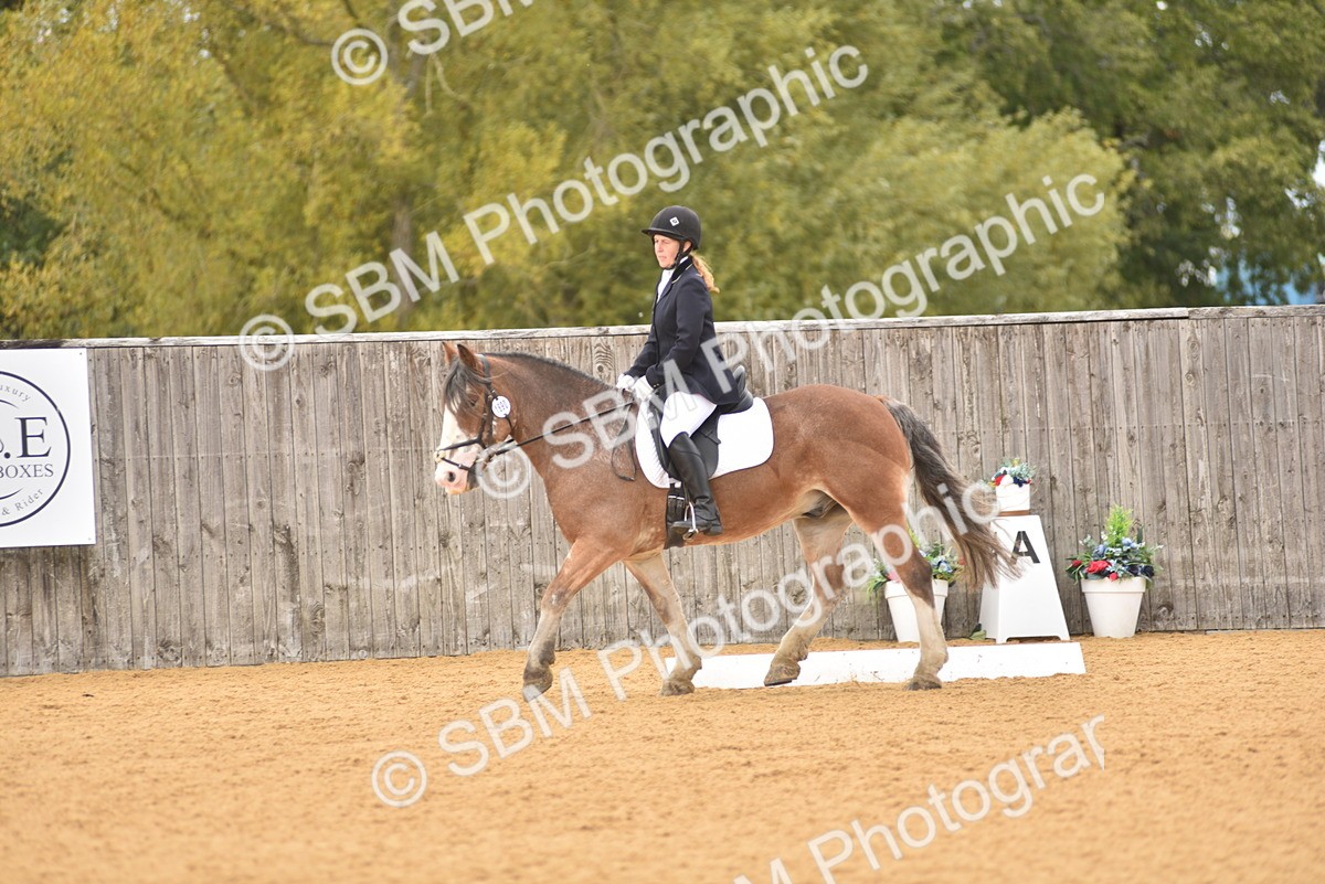 SBM_19873 - D4 - Small Tour Championship Intro 4