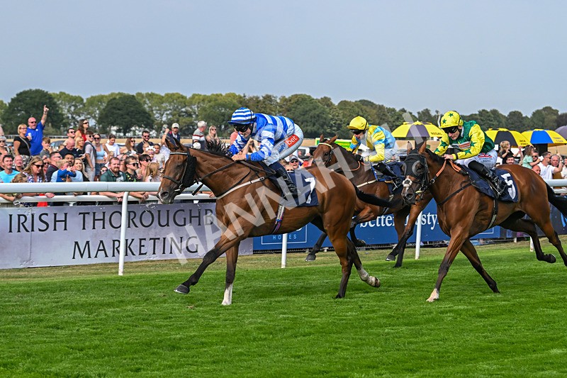 240825-Race 5-This Years Love-3423 - Race 5