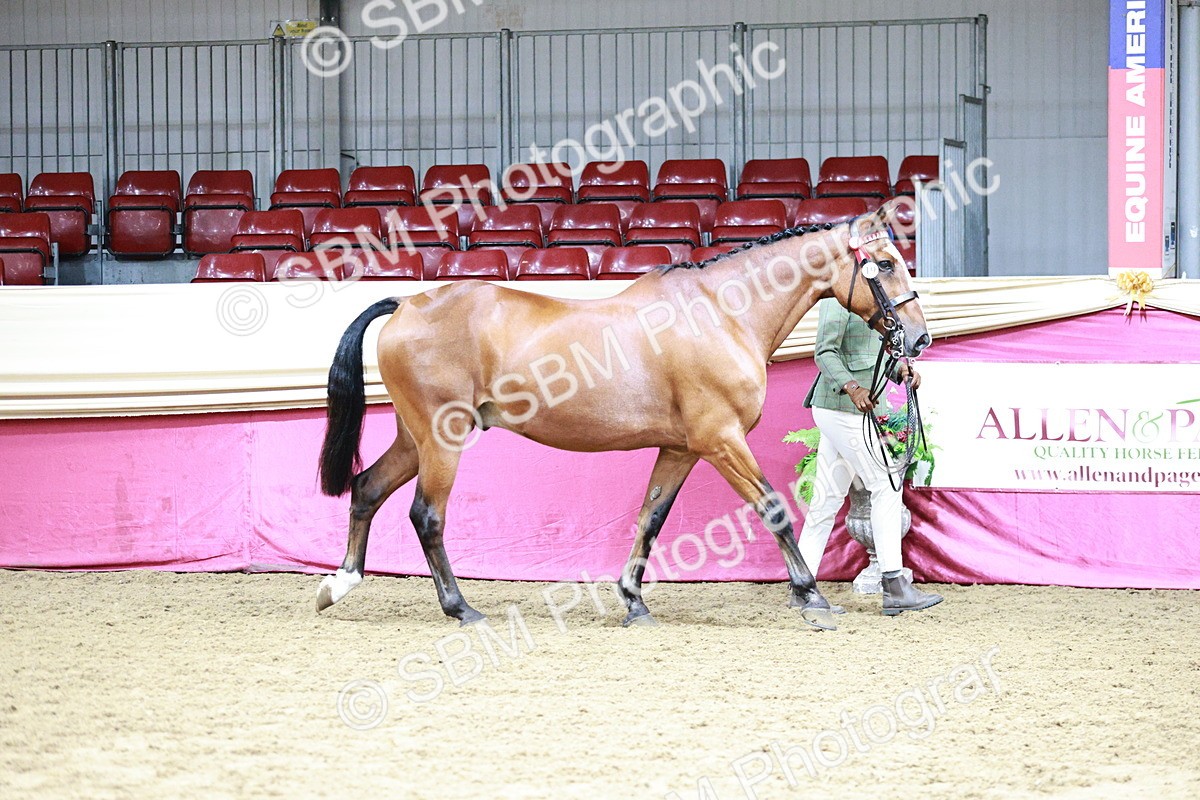SBM_01115 - Class 3A - Area IH Pre-Vet