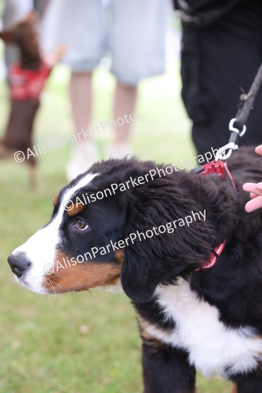 20250607-0086 - Class 2 - Gorgeous Girl