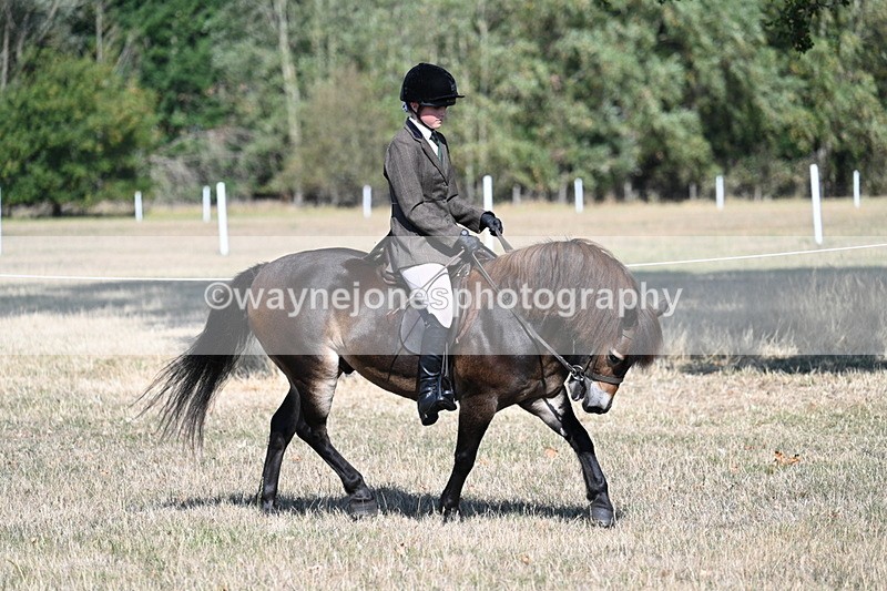 WJ7_3471 - Class 9 Mountain & Moorland Ridden