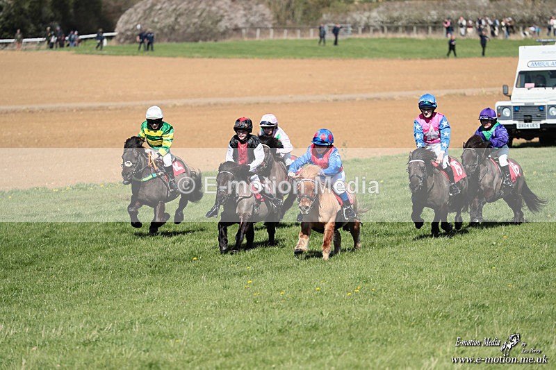 Shet 060426 253 - Shetland Pony Racing Paxford Races Easter Mon 06/04/26
