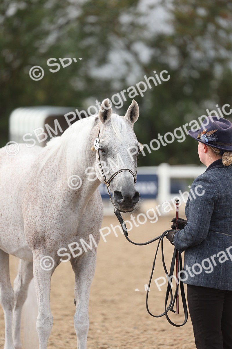 SBM_06901 - Class 25 - IH Foreign Breeds - Purebred