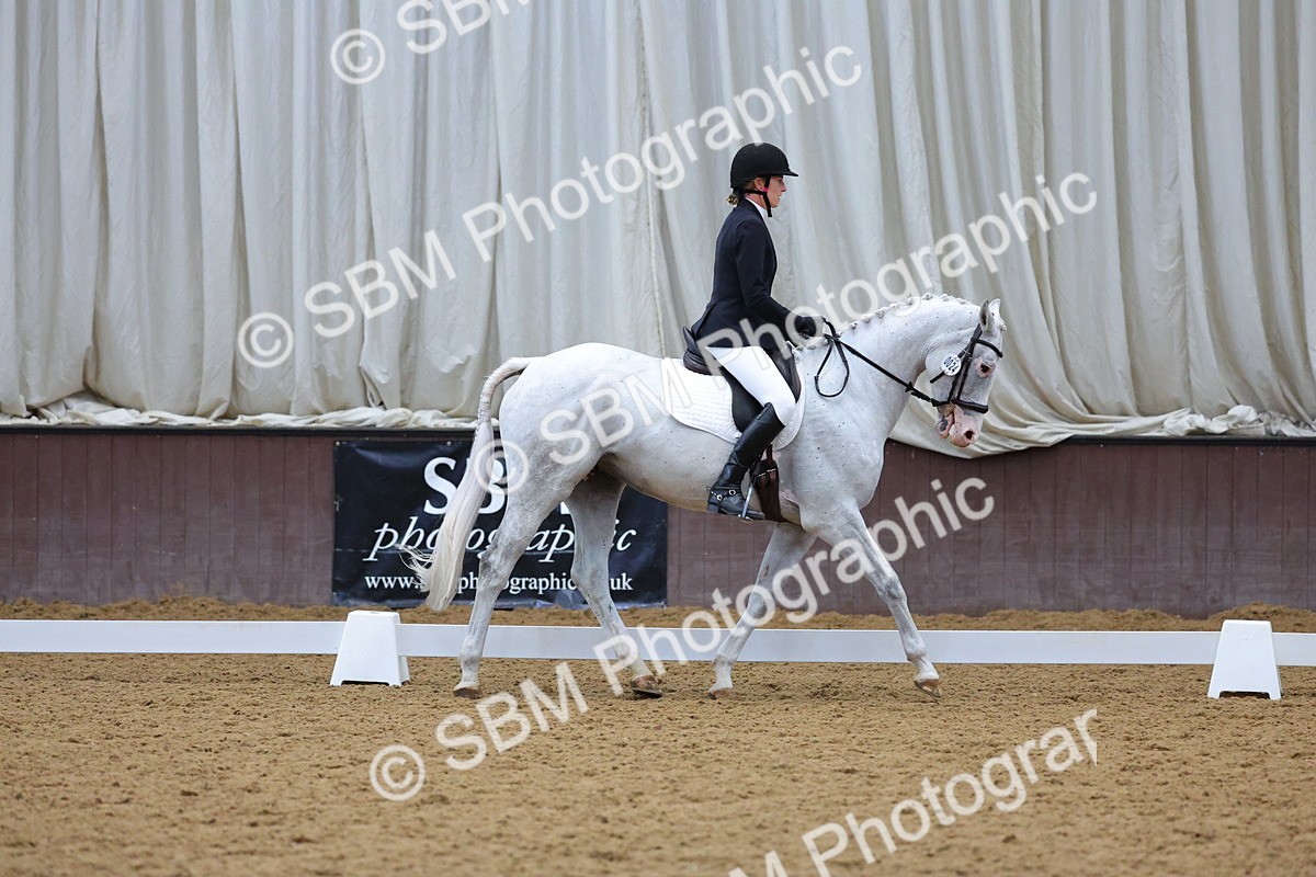 SBM_001914 - Class 5 - Novice 3