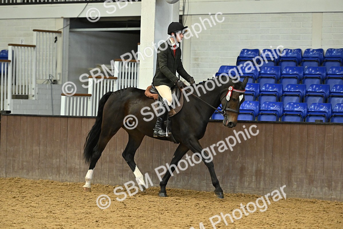 SBM_002050 - Class 23 - BSHA Ridden Show Hunter