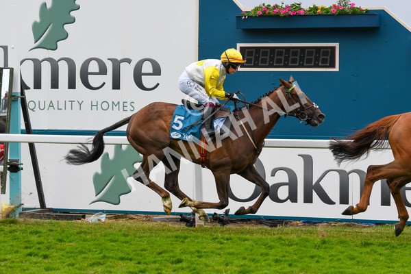 170623-Race 1-Kihavah-0225 - Race 1 2.00pm Queen Mother's Cup Handicap