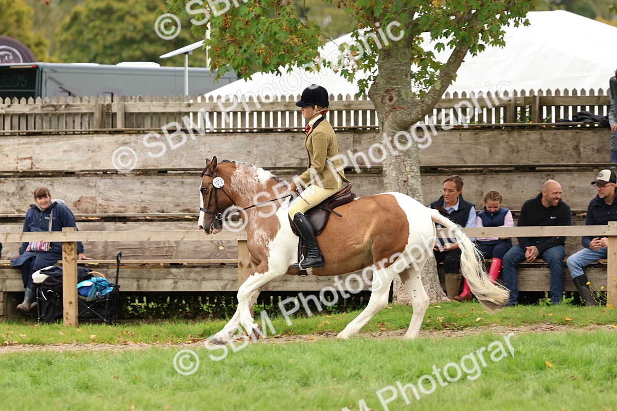 SBM_64560 - S58 - Coloured Pony Ridden