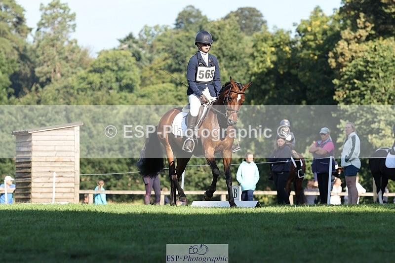 250823A-090001-25827 - Arena D