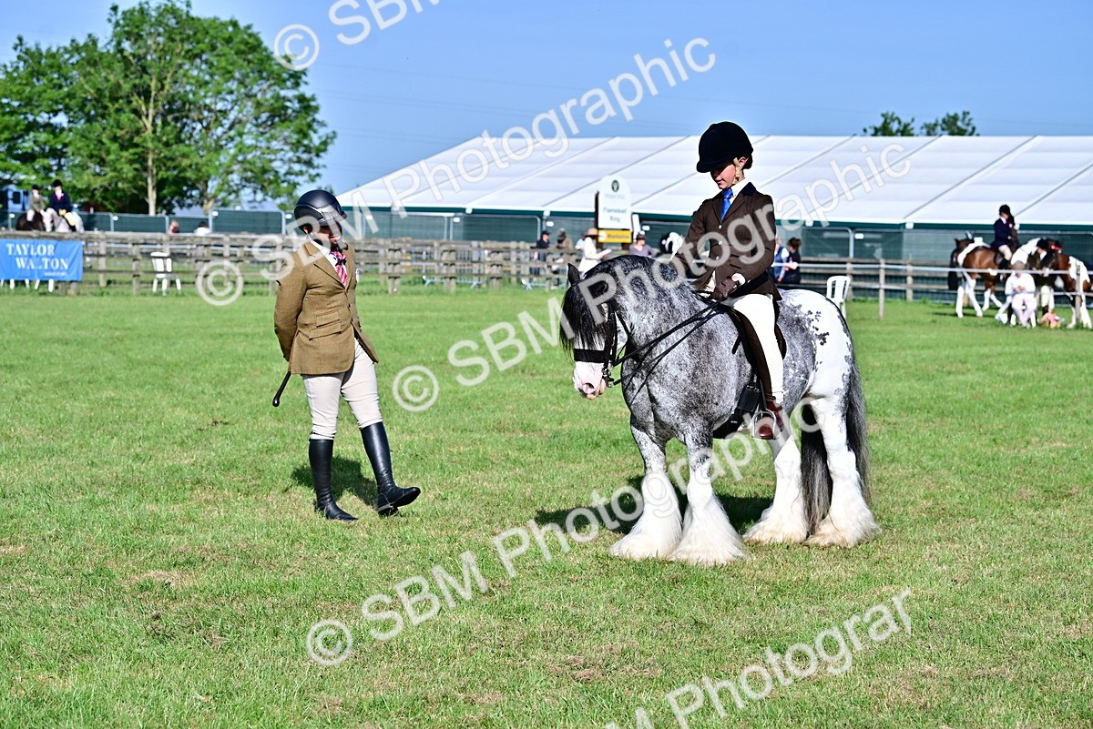 SBM_11527