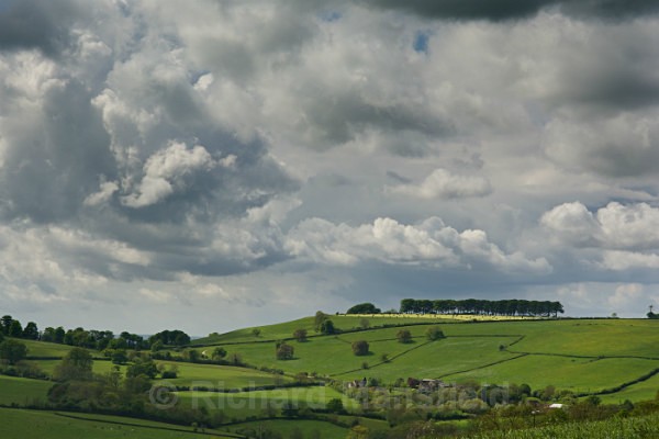  - Landscape