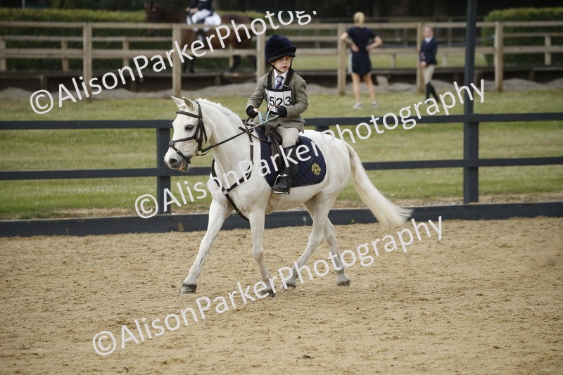 20250622-1458 - 40cm