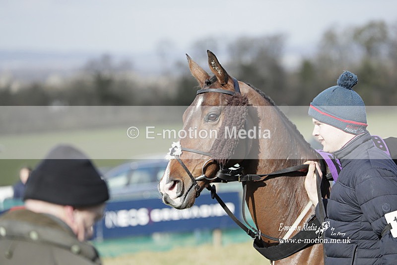 PtP 250223 0339 - Kimblewick Hunt Point-to-Point Kingston Blount 25/02/23