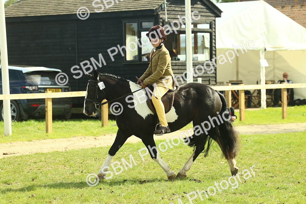 SBM_68882 - S58 - Mini Show Cob Ridden