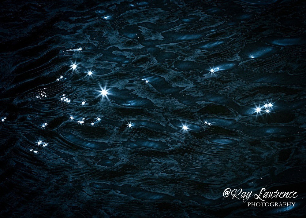 Blue_RLP2376 - Double Take