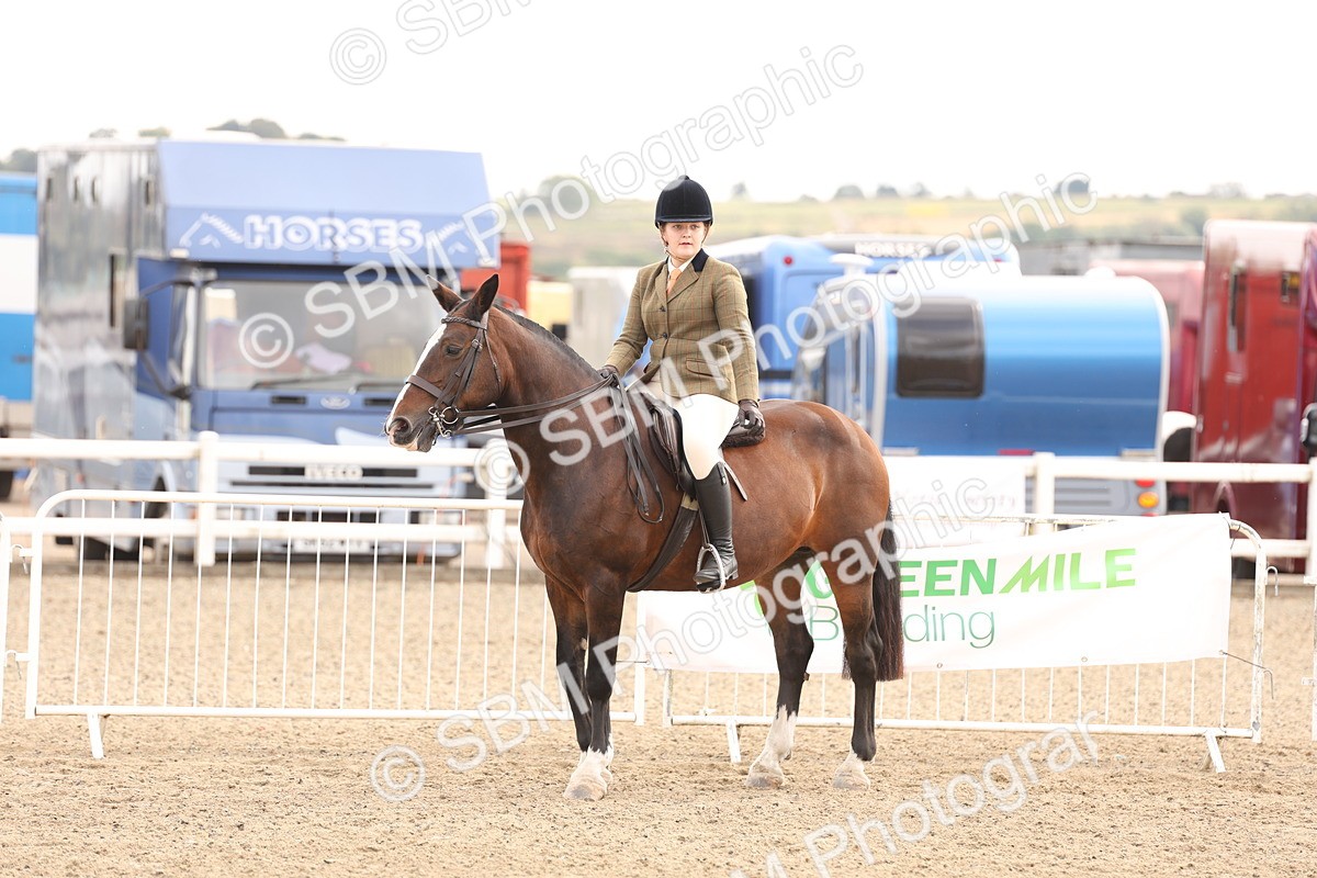 SBM_05146 - Class 56a -  Style & Performance - 50cm (15-19)