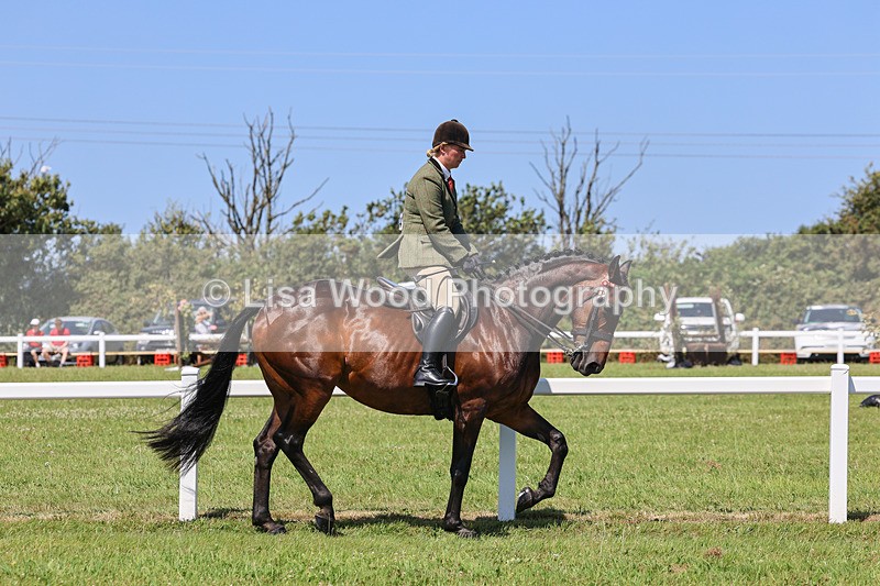 IMG_2290 - Class 38: Veteran Ridden