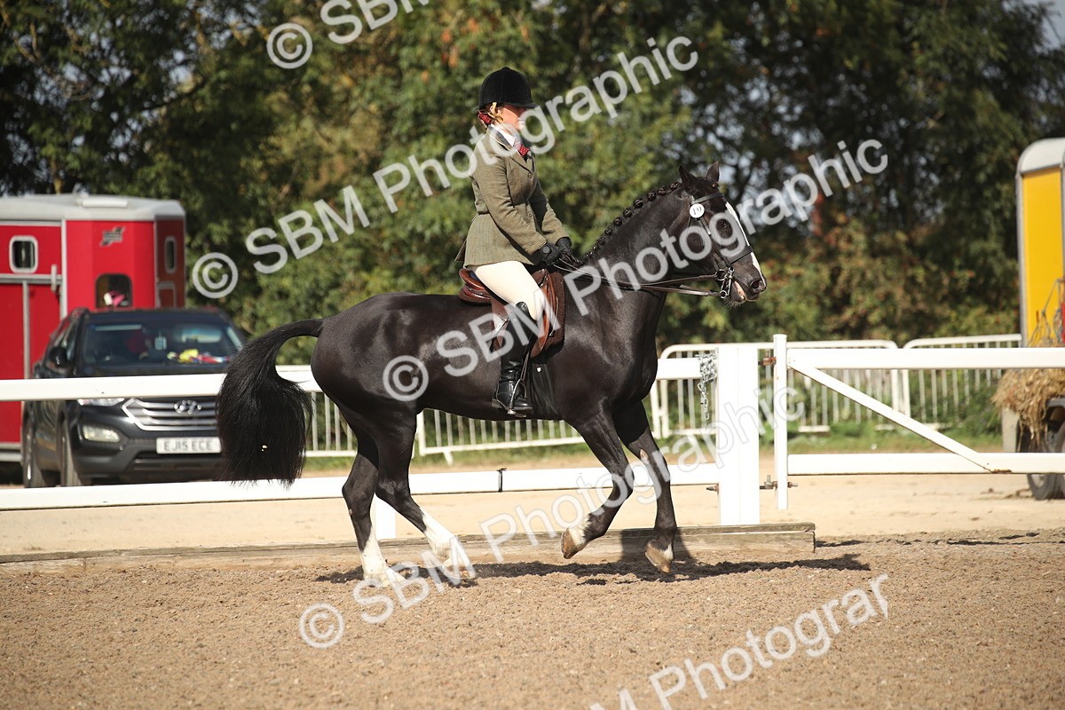 SBM_22907 - Class 603 - 2026 - Ridden Pre Vet