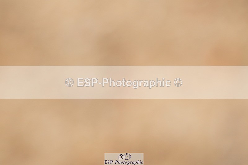 240317A-152058-07595 - Cls 28 Snr Newcomers