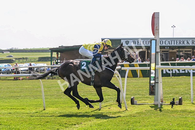 120525-Race 2-Far Ahead-8312 - Race 2