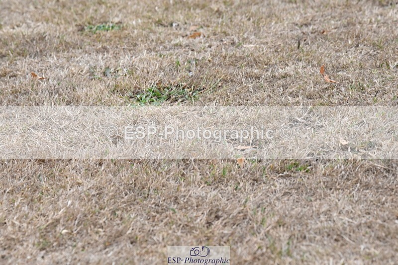 250820A-175729-12398 - Wednesday Presentations