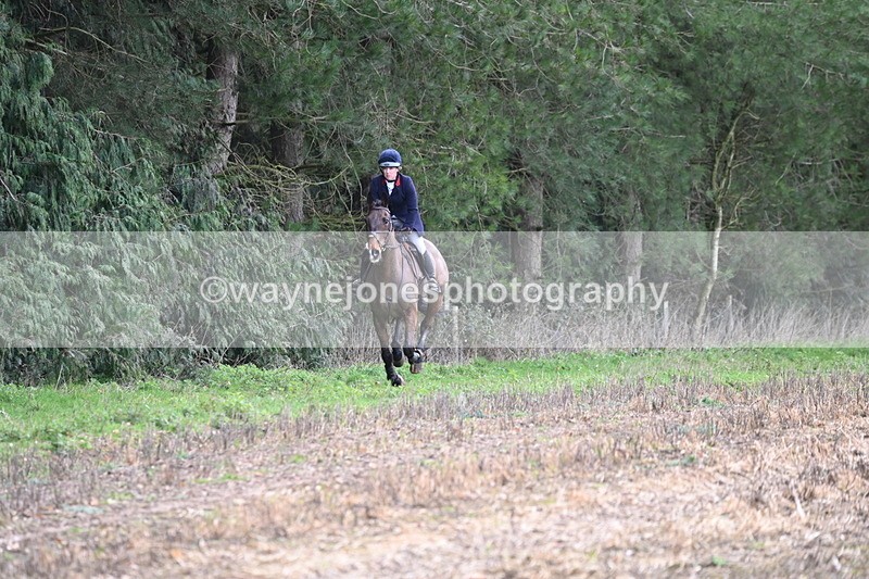 WJ6_9449 - Line Four