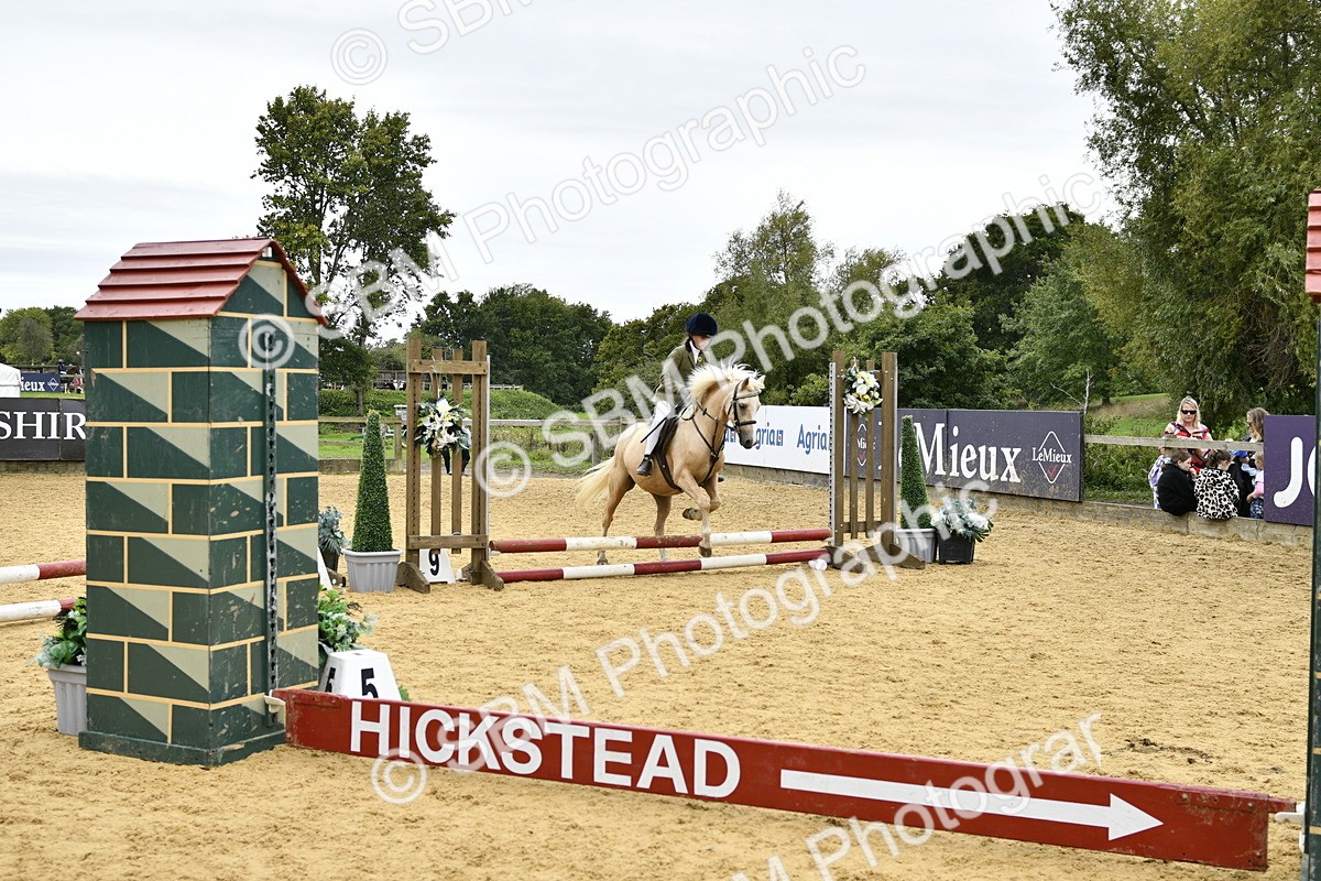 SBM_65400 - J2a mini Tour Junior Pony 30cm Championship