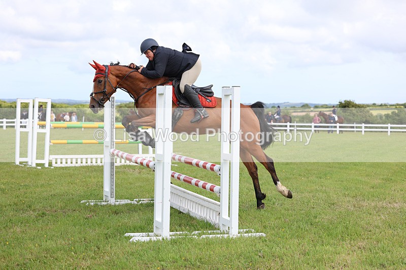 3E7A7486 - Class 13: Senior British Novice/90cm open