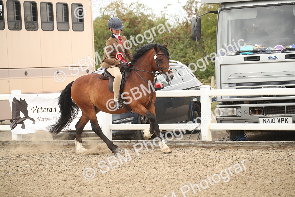 SBM_16843