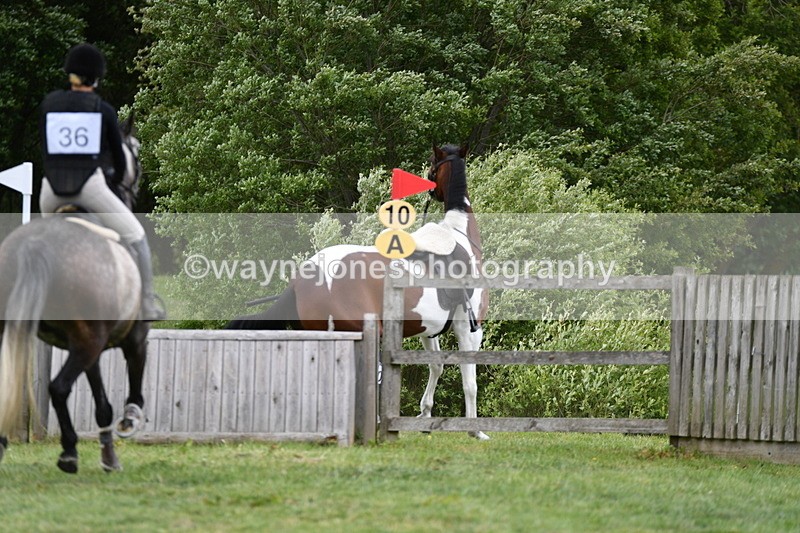 WJ5_3519 - Class 5 80cm Pairs