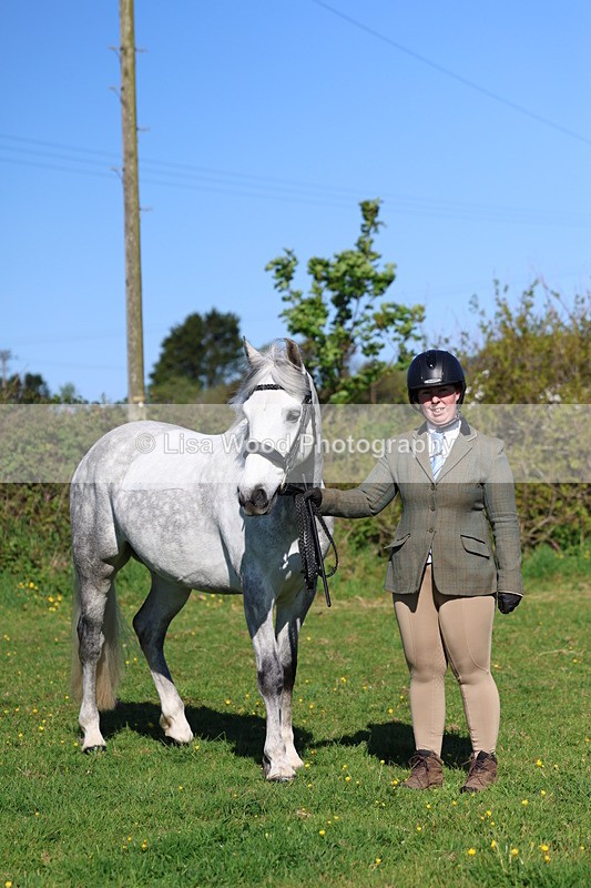 3E7A8625 - Class 13: M & M Large Breeds