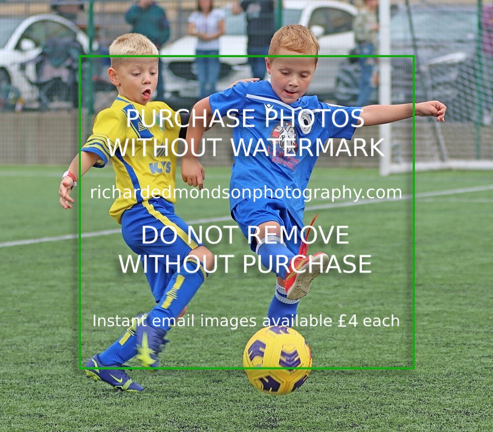 IMG_0277 - Under 7 Festival