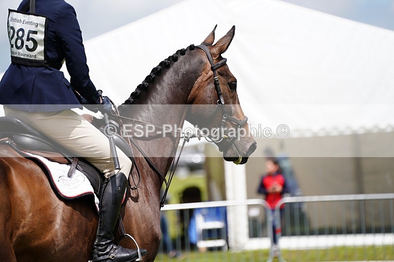 240630X-122208-8217 - 285-Flora_Spenlove-Brown-PENTON_FALCON