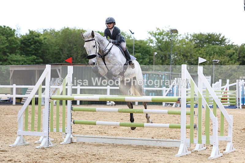 3E7A7543 - Class 8: Senior Foxhunter/1.20 open