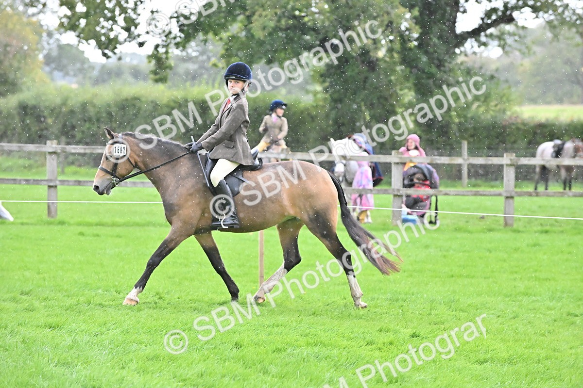 SBM_42941 - S12 - Family Horse & Pony